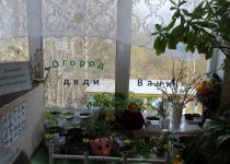 Огород на окне